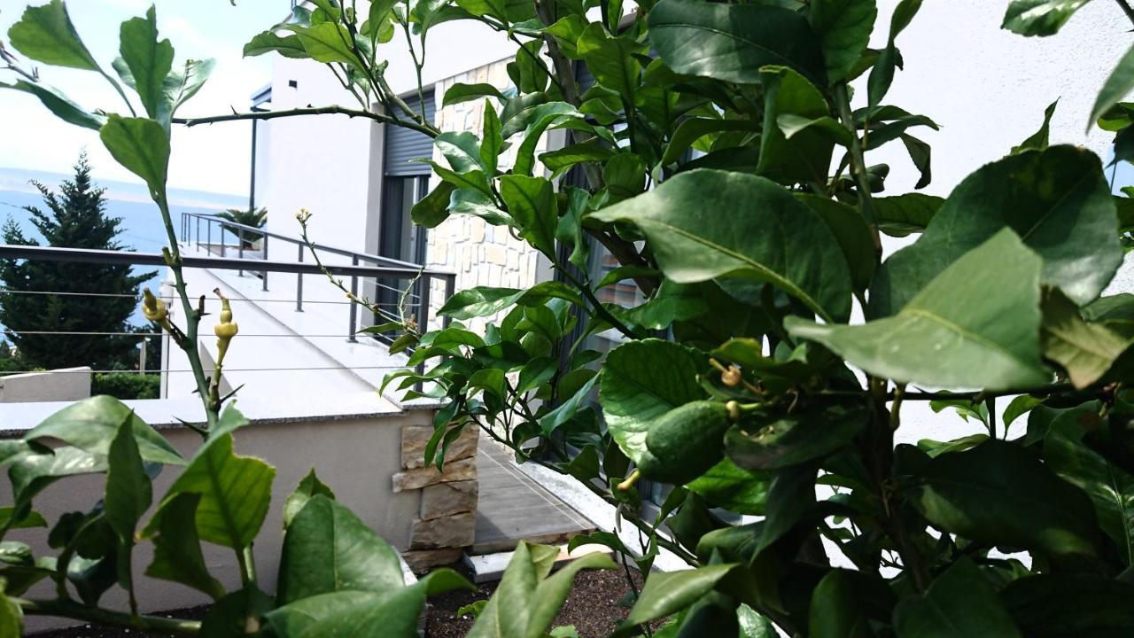 Villa Horizon Starigrad Paklenica Exteriör bild